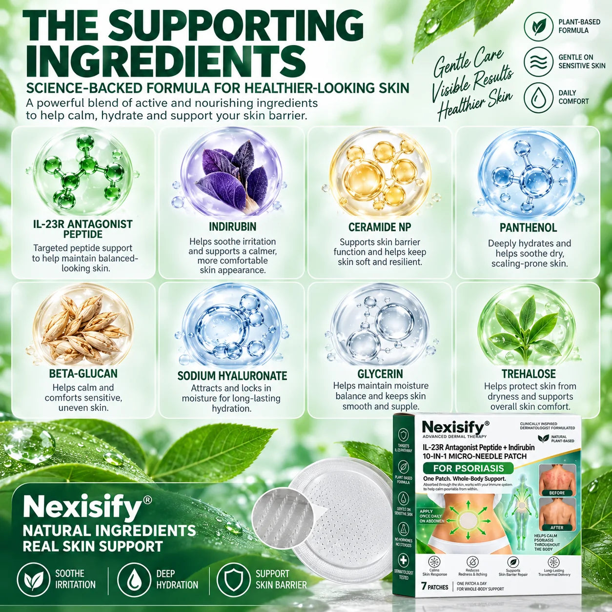 Nexisify supporting ingredient overview